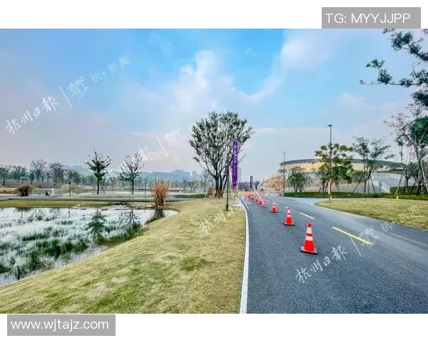 杭州乒乓球队运营揭秘深度解析背后的管理与发展策略 杭州乒乓球队运营揭秘深度解析背后的管理与发展策略