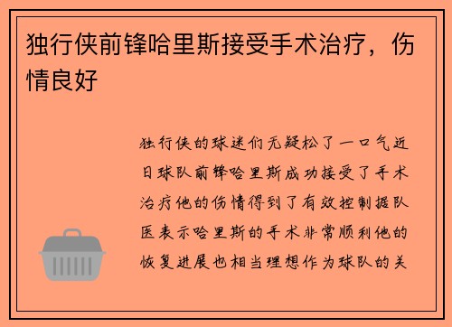 独行侠前锋哈里斯接受手术治疗，伤情良好